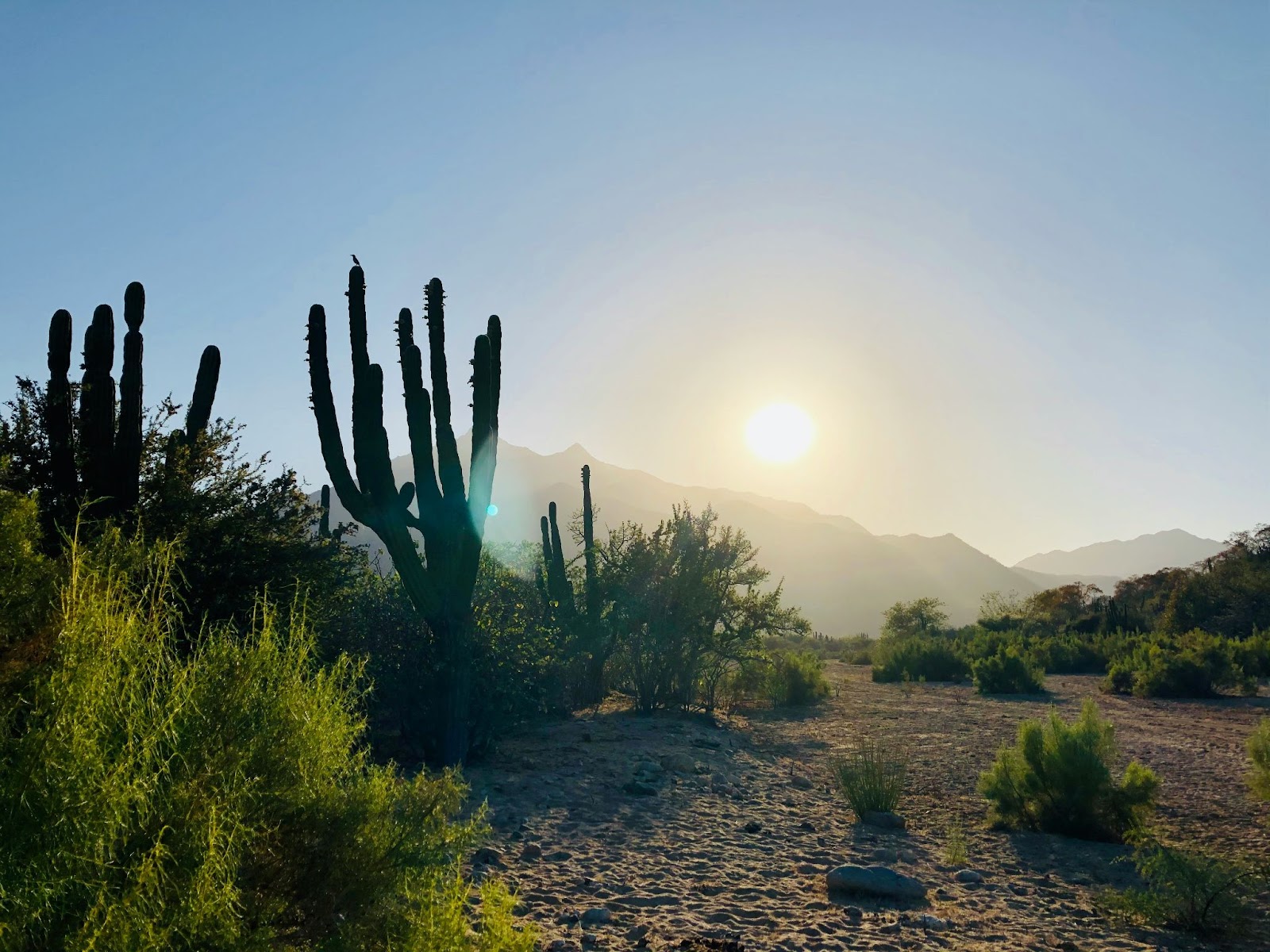 Cabo San Lucas desert, where ATV tours and zip-lining take place