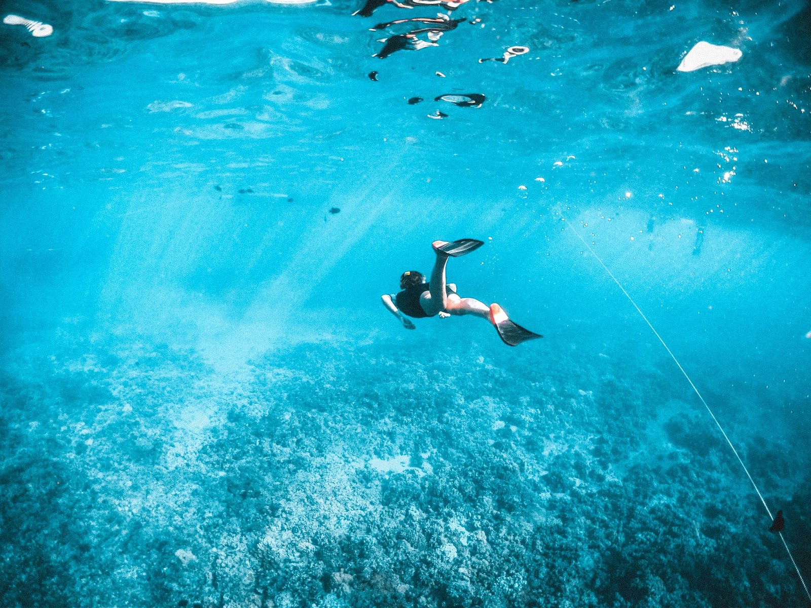 Snorkeling in Cabo San Lucas 