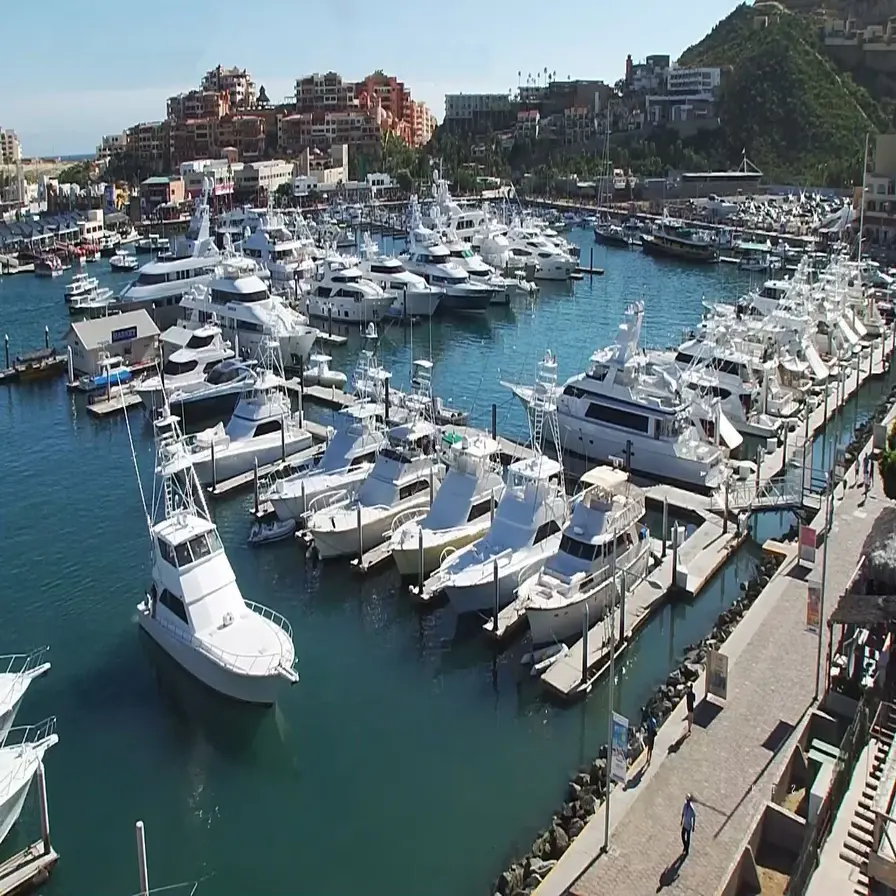 Los Cabos Marina Walk
