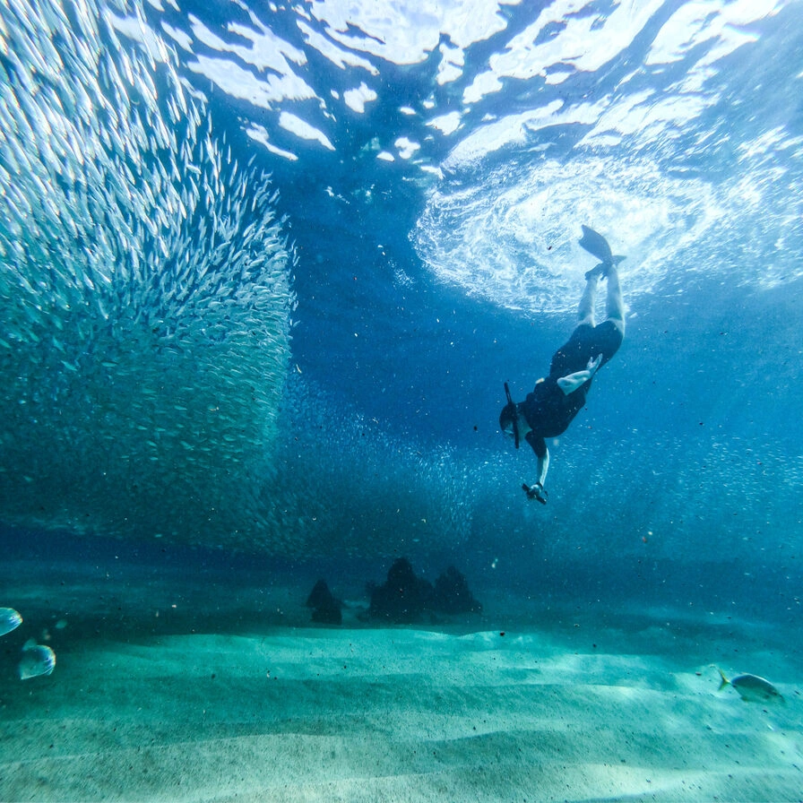 Scuba Diving and Snorkeling