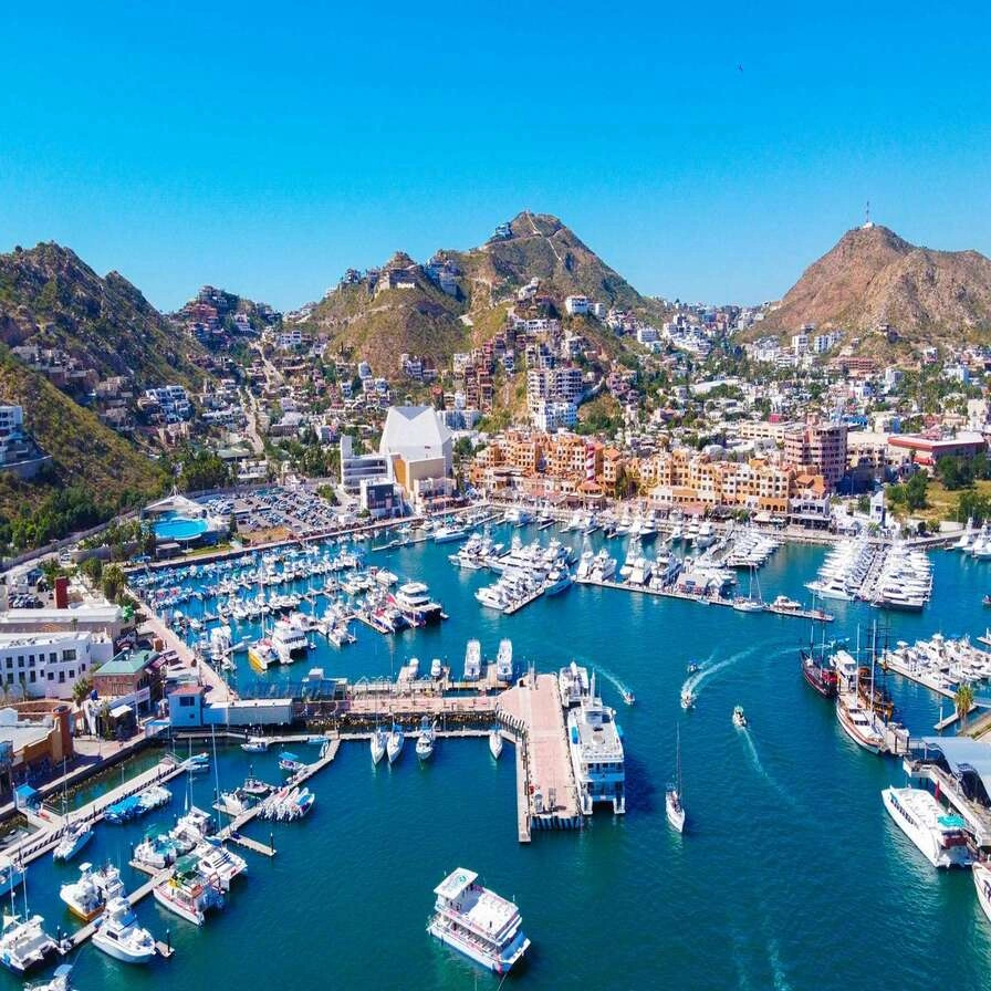 The Marina