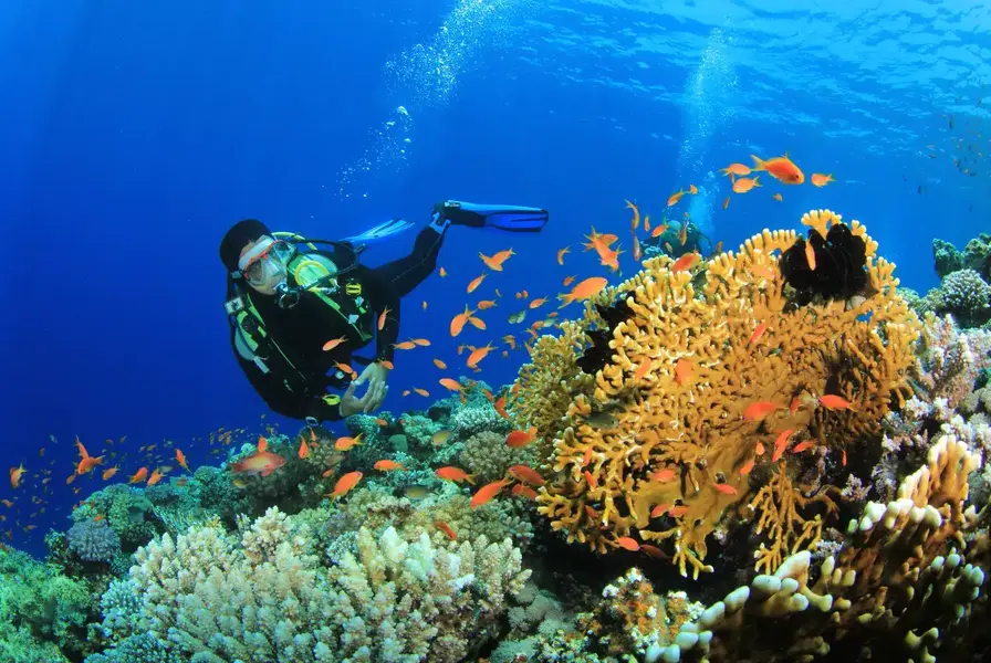 Diving and Snorkeling Season (June to December)