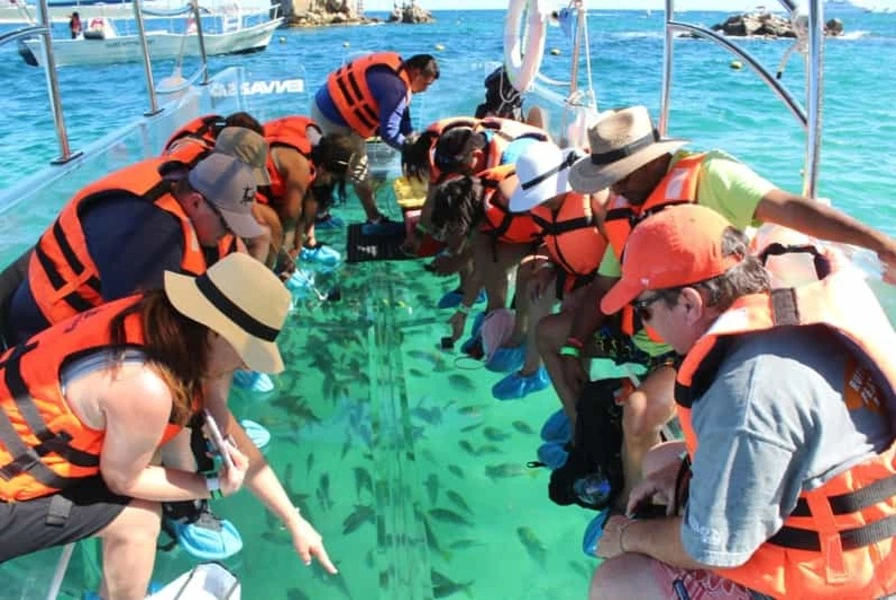 6. Take a Glass-Bottom Boat Tour to Land’s End