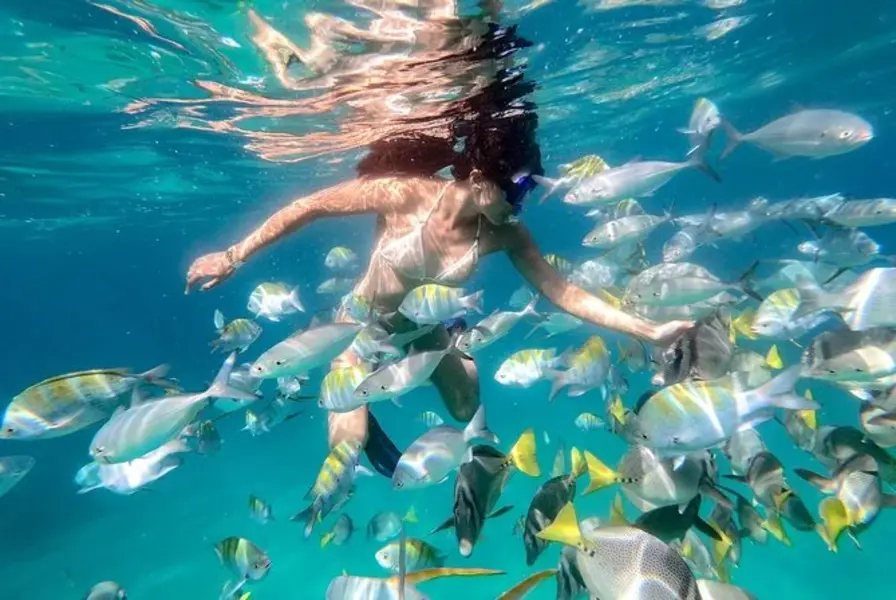 7. Discover Pelican Rock and Snorkeling from the Shore