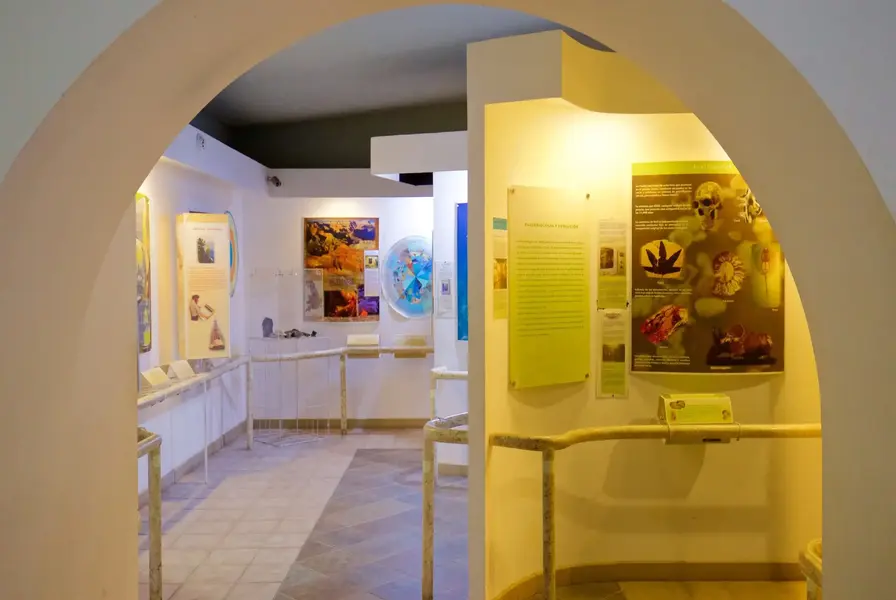 8. Visit the Museum of Natural History in Cabo San Lucas (Free Entry Days)