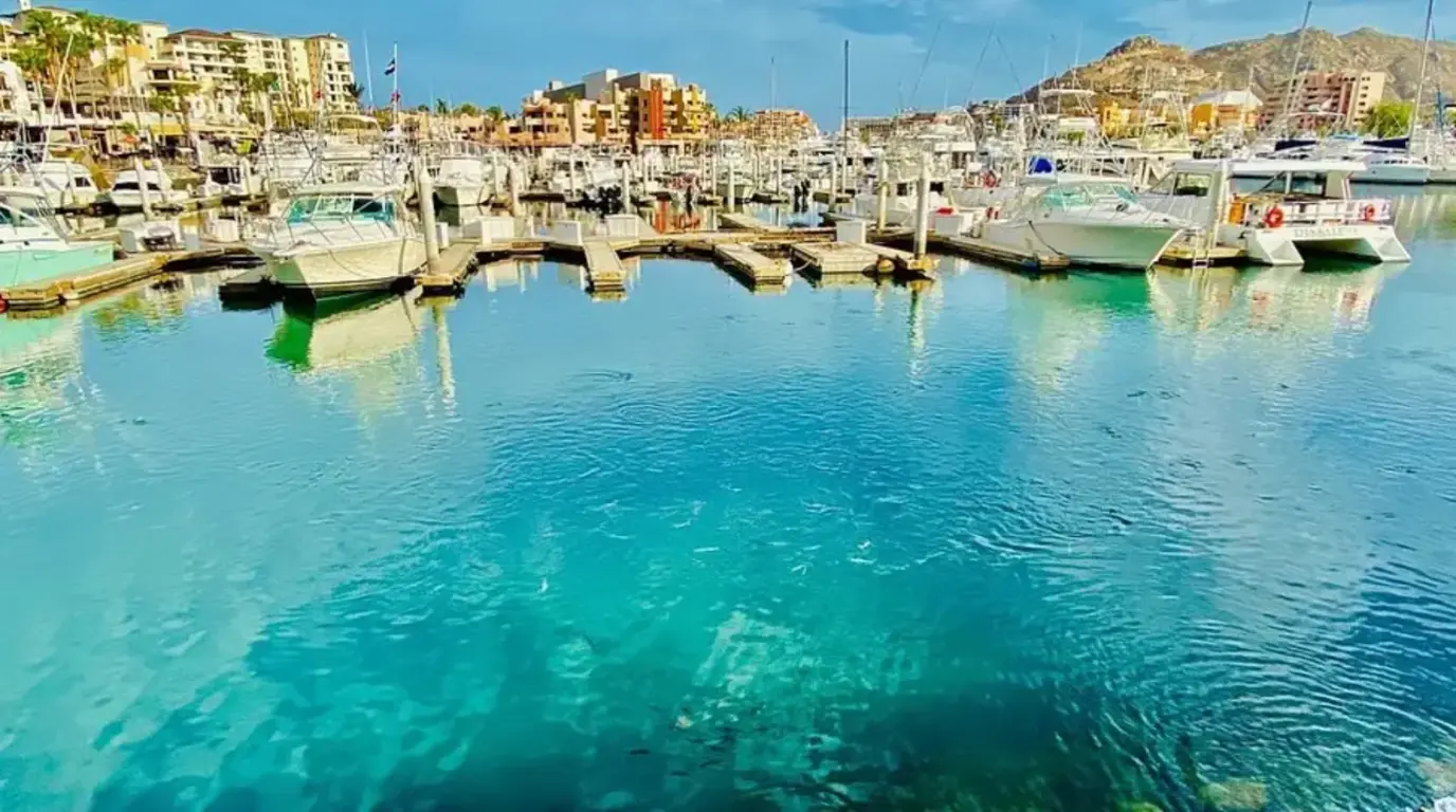Marina Cabo San Lucas 2025 - Everything You Need to Know