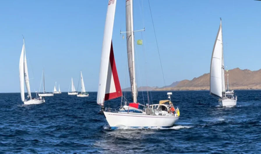 Baja Ha-Ha Cruisers Rally & Fishing Tournaments (Tuna Jackpot)