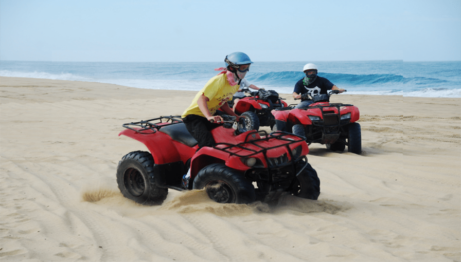Other Activities
