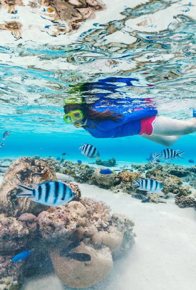 Guests relaxing on Infinity 28 yacht in Cabo San Lucas