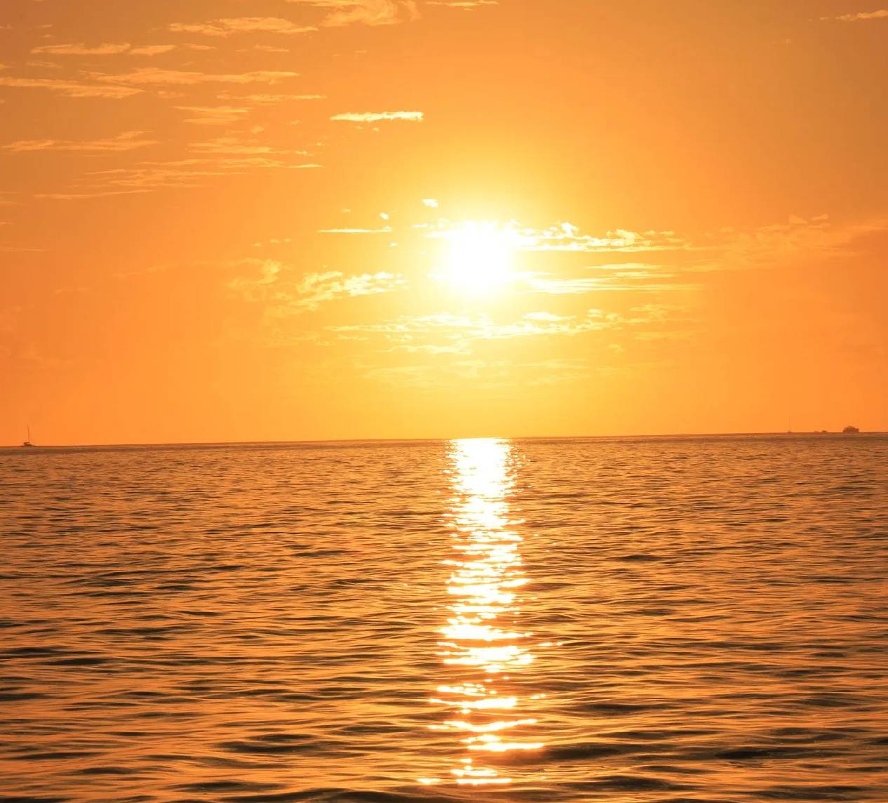 Private sunset catamaran cruise Los Cabos coast