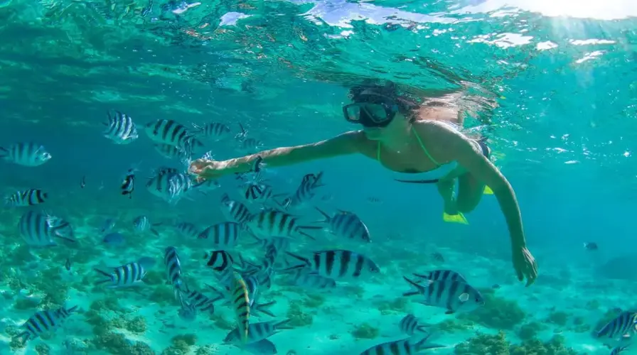Snorkeling in Cabo