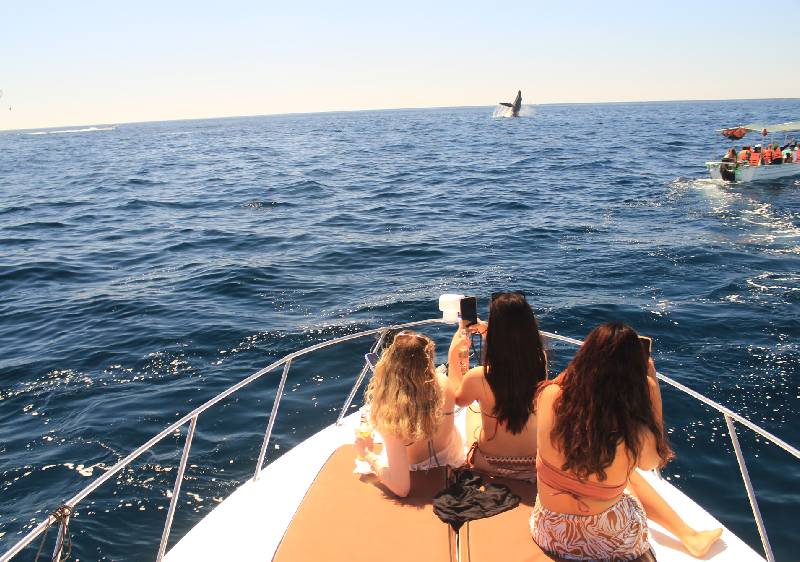 Infinity 32 yacht interior seating area Los Cabos