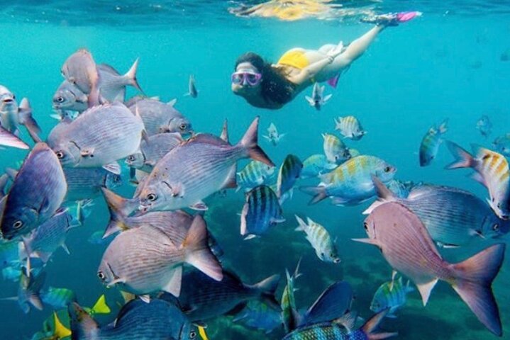 snorkeling boat trip los cabos