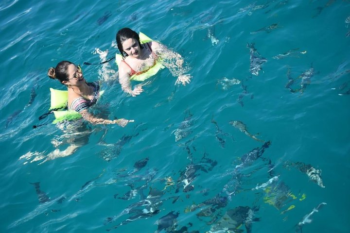 snorkeling los cabos