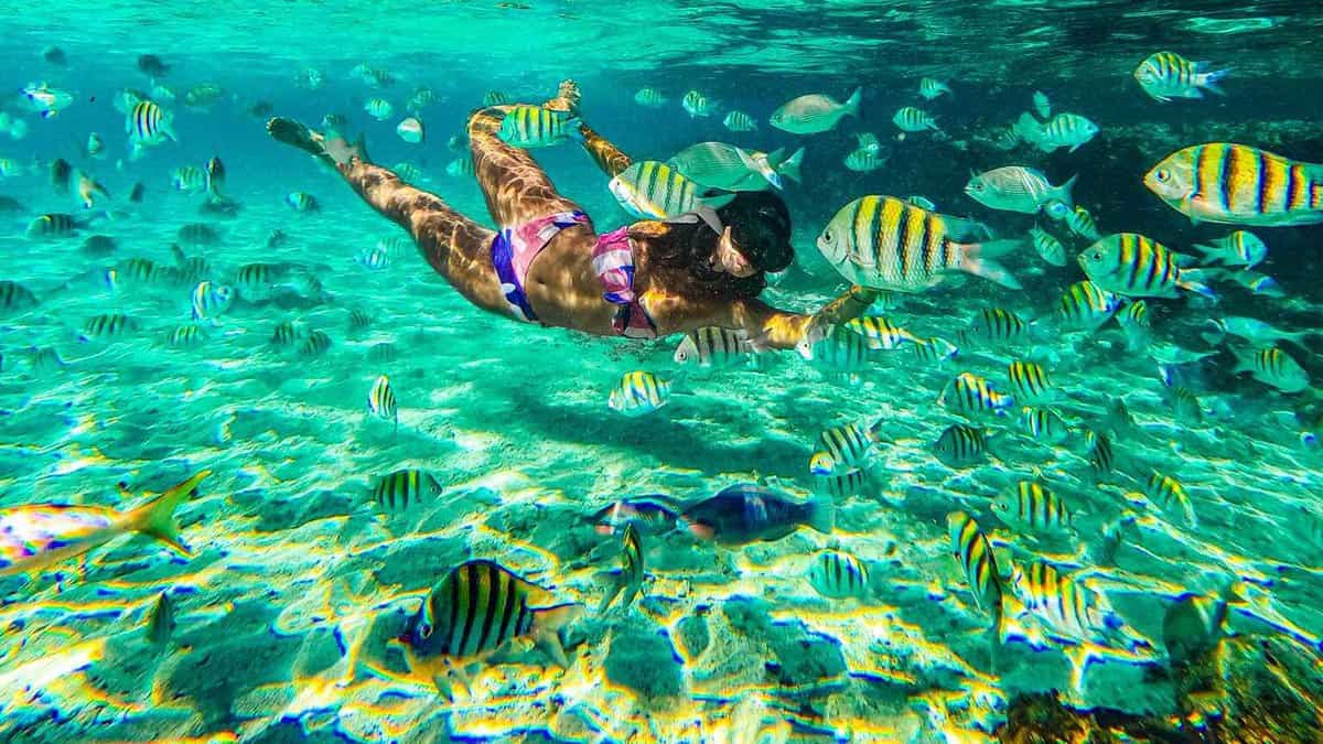 snorkeling-reef-los-cabos-bay