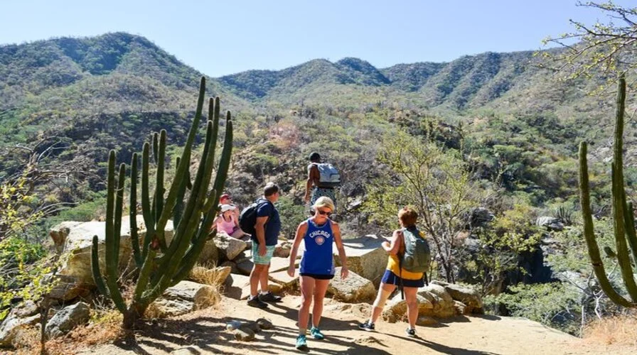 4. Cultural & Adventure Add-Ons - Top Things to Do in Los Cabos in February