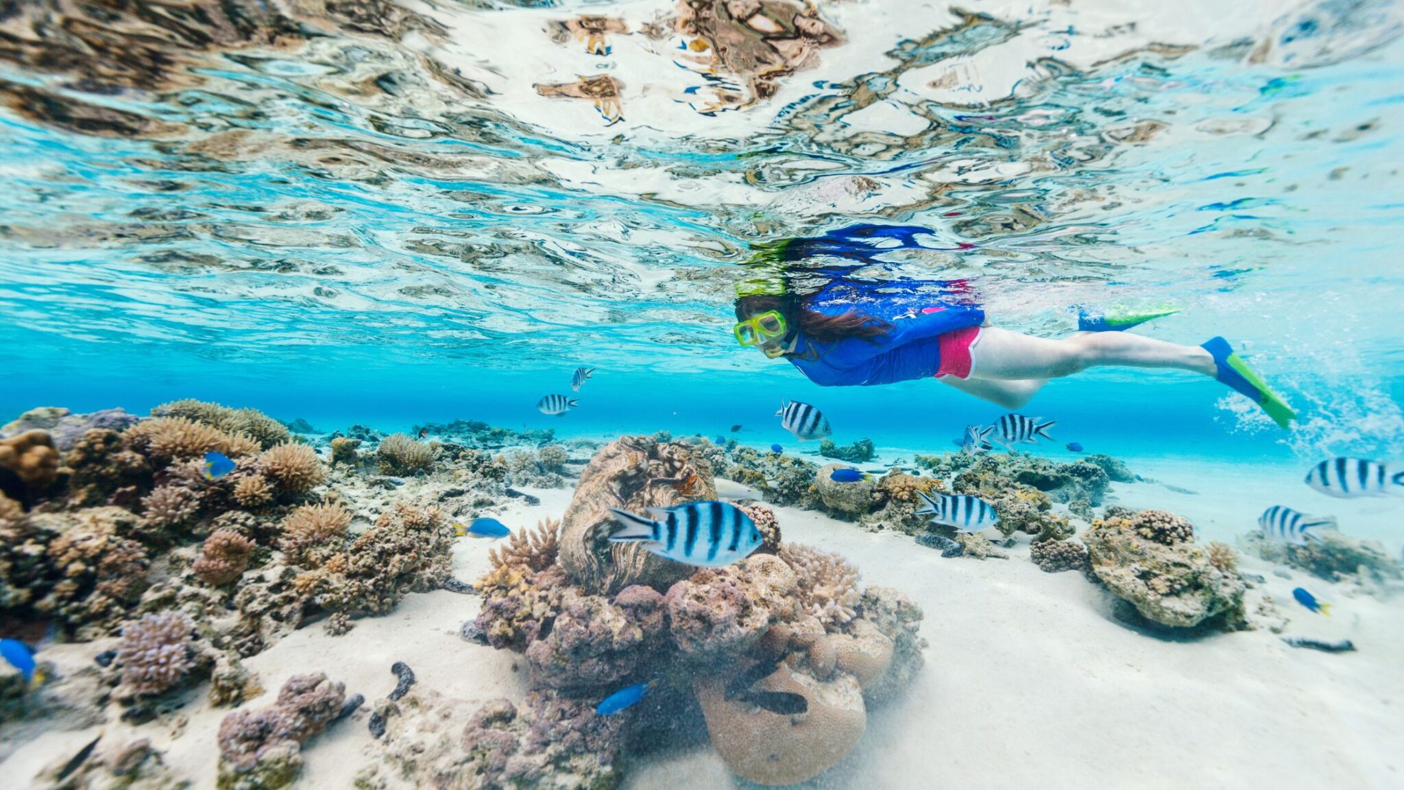 boat trips los cabos snorkeling-Infinity 28