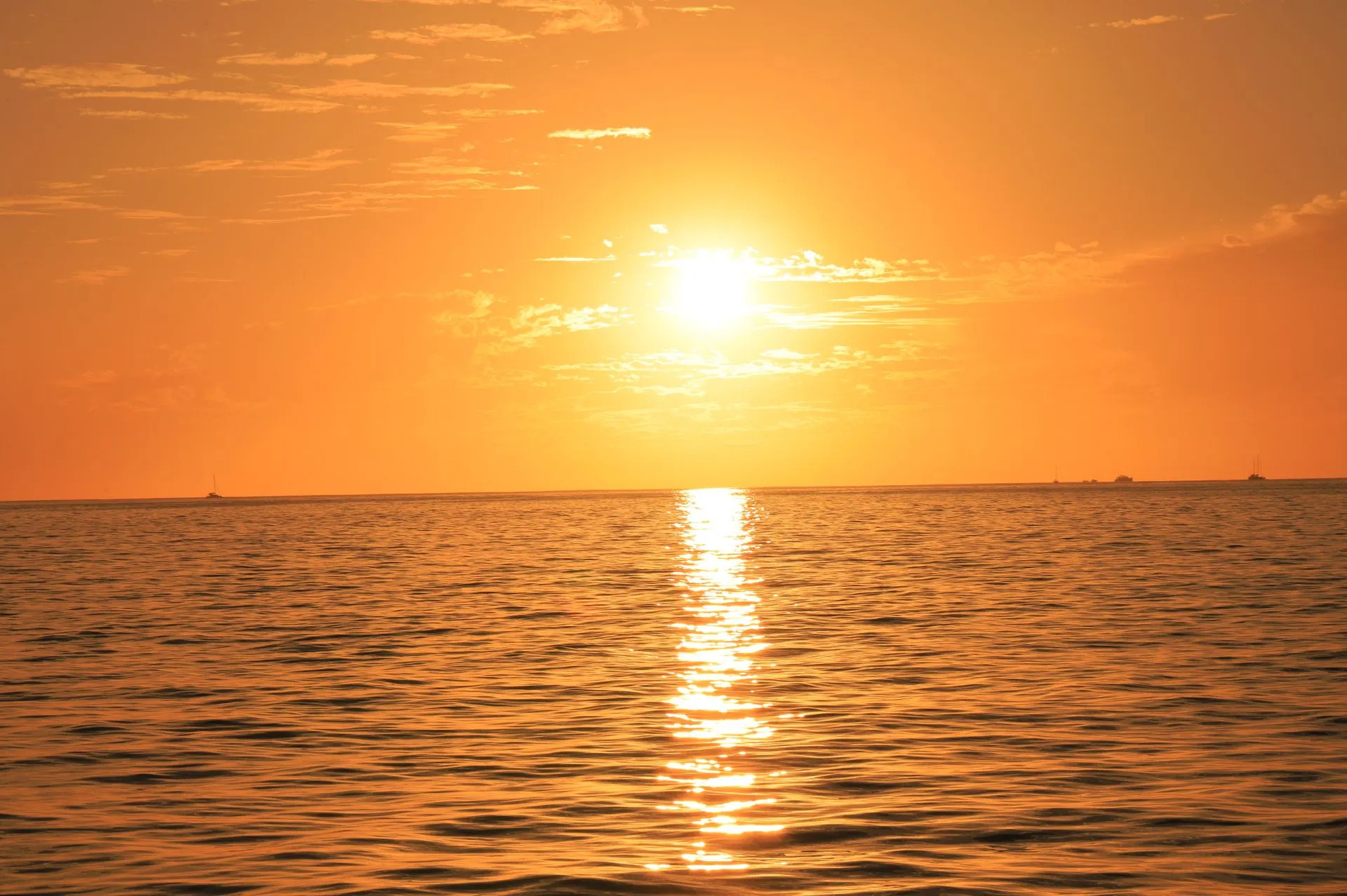 bright-orange-sunset-los-cabos-Shared sunset