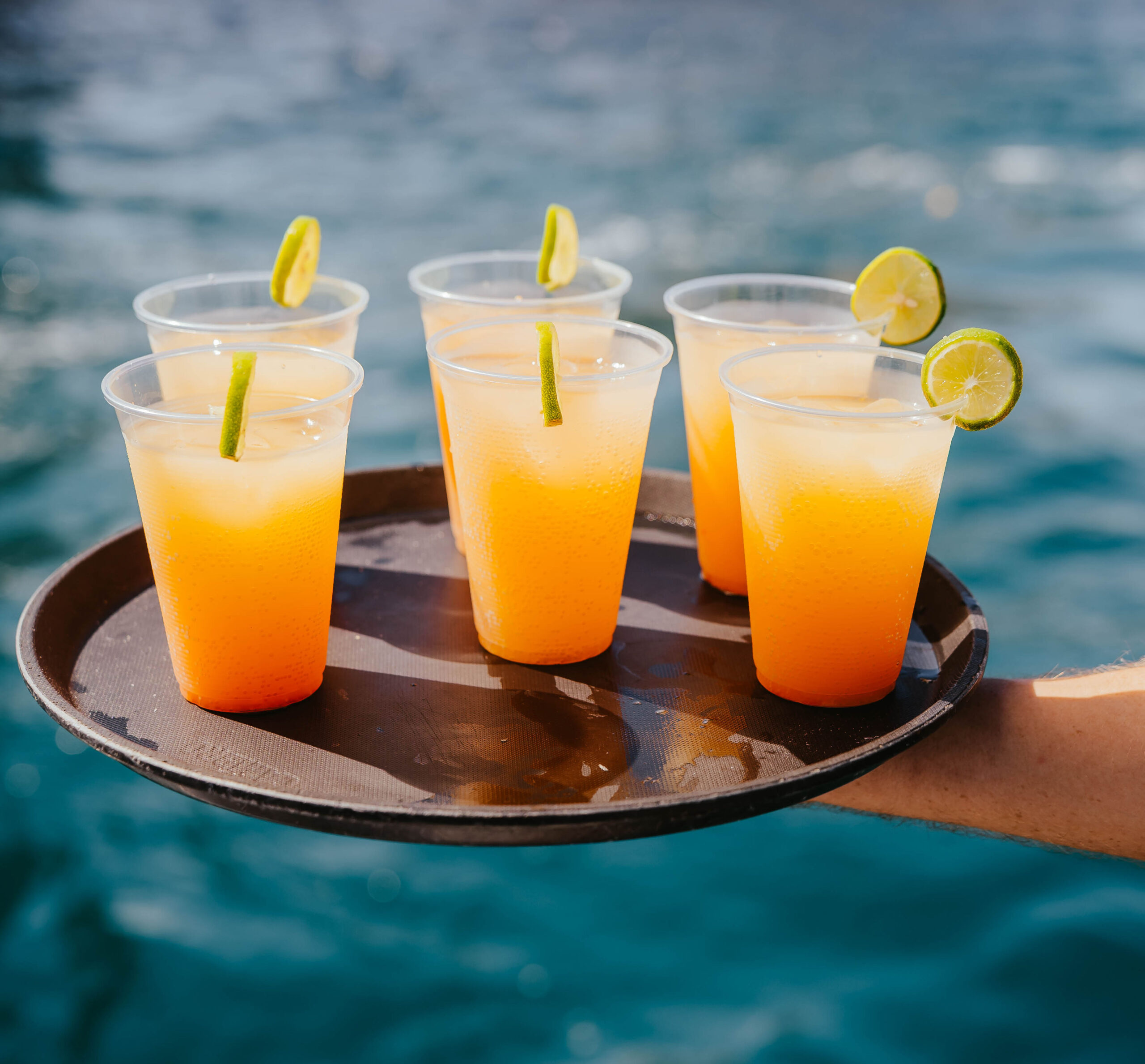 sunset-cocktails-catamaran-los-cabos-Shared sunset