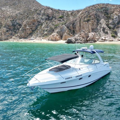 Cruising the Cabo Coastline on Our 40 ft Private Yacht-infinity 40ft