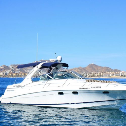 Explore El Arco and Lover’s Beach in Style-infinity 40ft