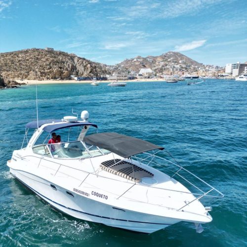 Relax and Enjoy the Sun with Boat Trips Los Cabos-infinity 40ft
