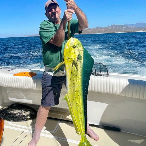 angler-catching-marlin-cabo-fishing-tour-deep sea