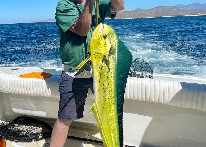 angler-catching-marlin-cabo-fishing-tour-deep sea