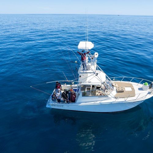 baja-ocean-fishing-charter-los-cabos-deep sea