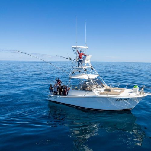 boat-trips-los-cabos-fishing-charter.-deep sea