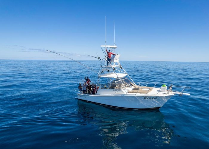 boat-trips-los-cabos-fishing-charter.-deep sea