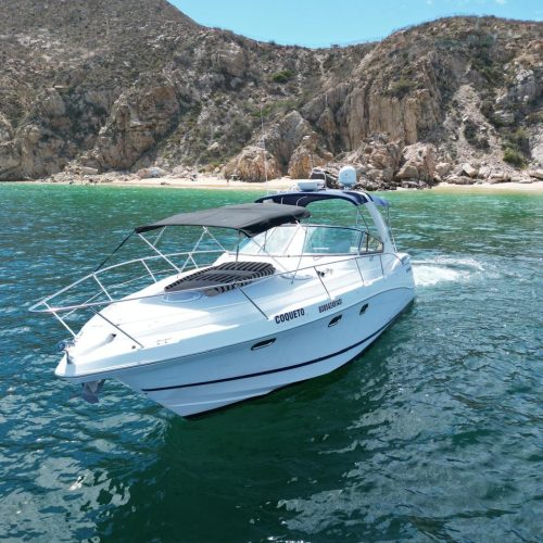 boat trips los cabos-infinity 40ft