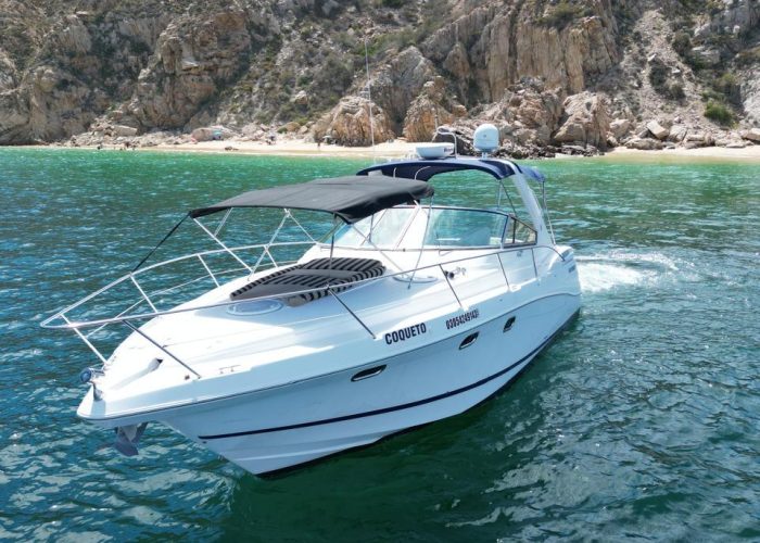 boat trips los cabos-infinity 40ft