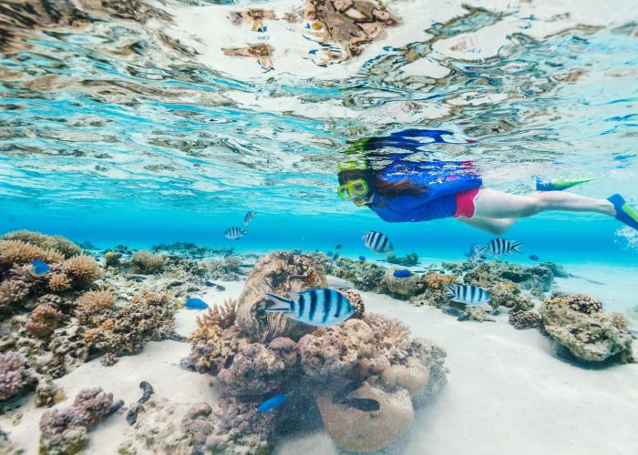 boat trips los cabos snorkeling-infinity 45