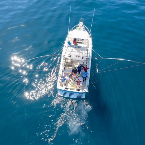 cabo-deep-sea-fishing-experience-deep sea