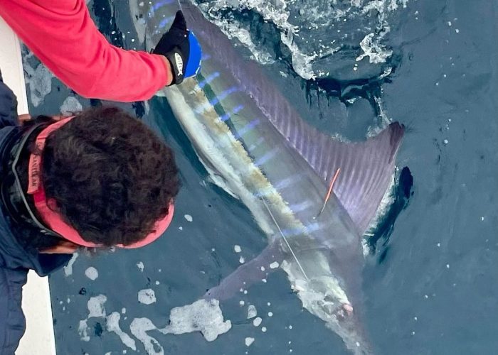 professional-fishing-equipment-los-cabos-deep sea