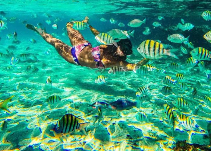 snorkeling-reef-los-cabos-bay