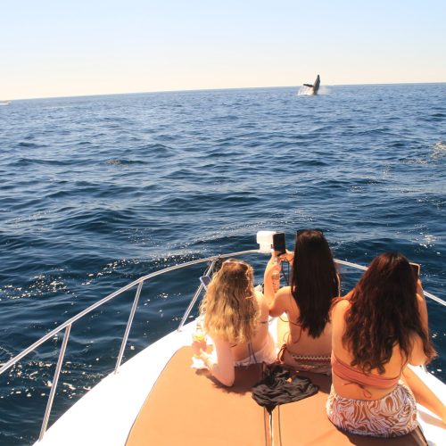 tequila-and-beer-on-board-cabo-yacht-infinity-32