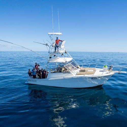 trolling-fishing-cabo-san-lucas-waters-deep sea